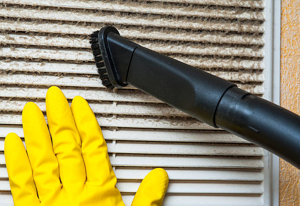 Best Ductwork Cleaning Services  in Albertville, MN